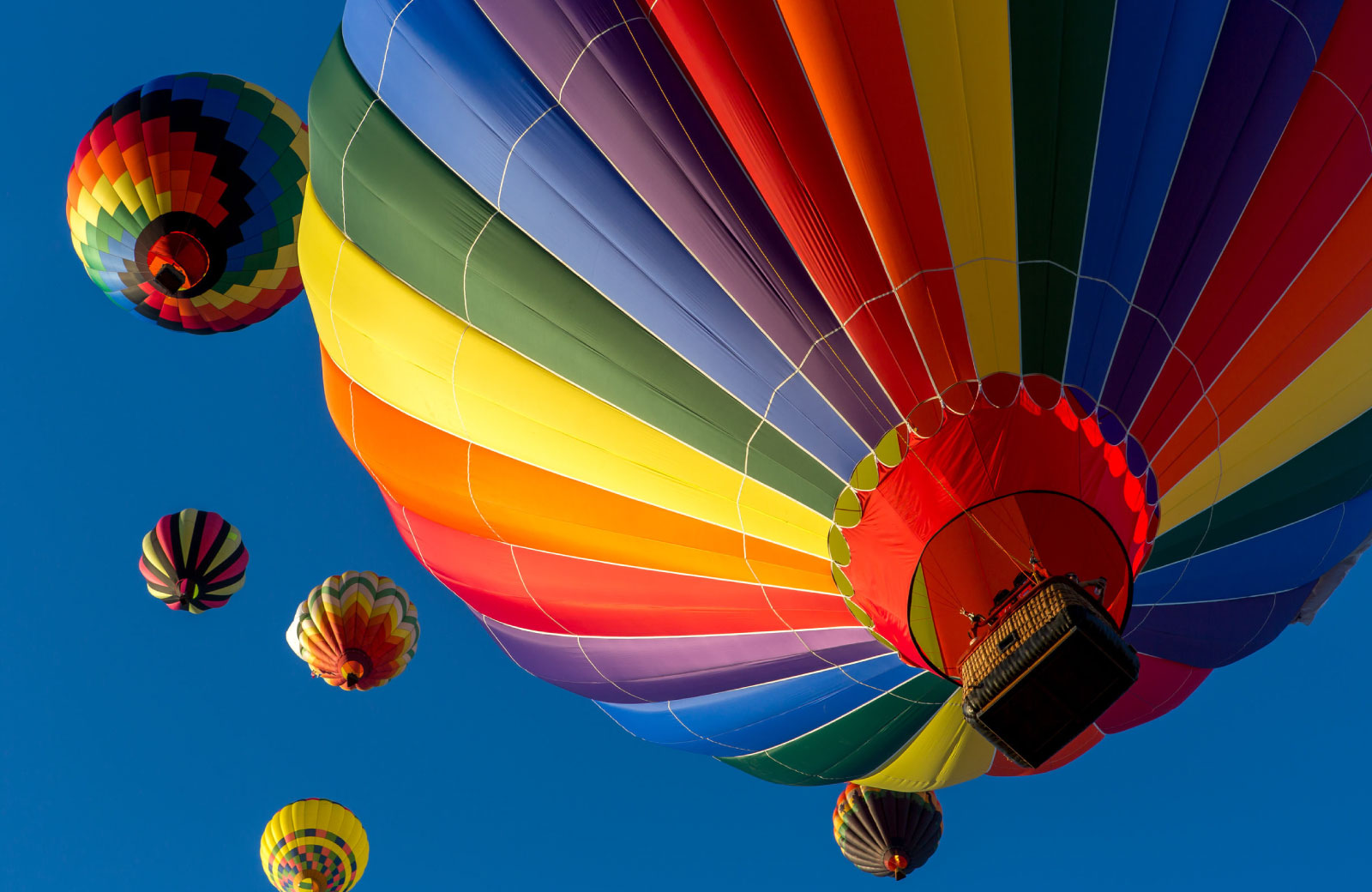 hot air balloons in the air