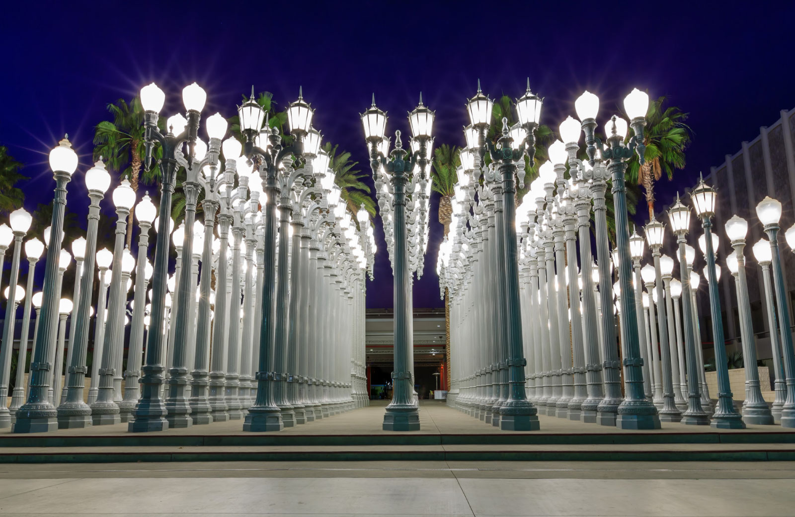 urban light at LACMA