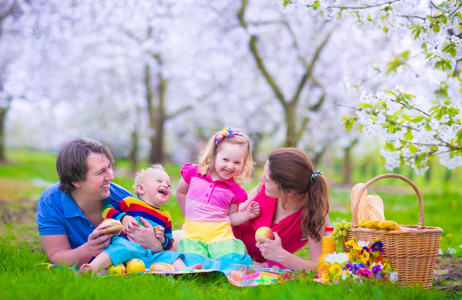 young family on a picnic