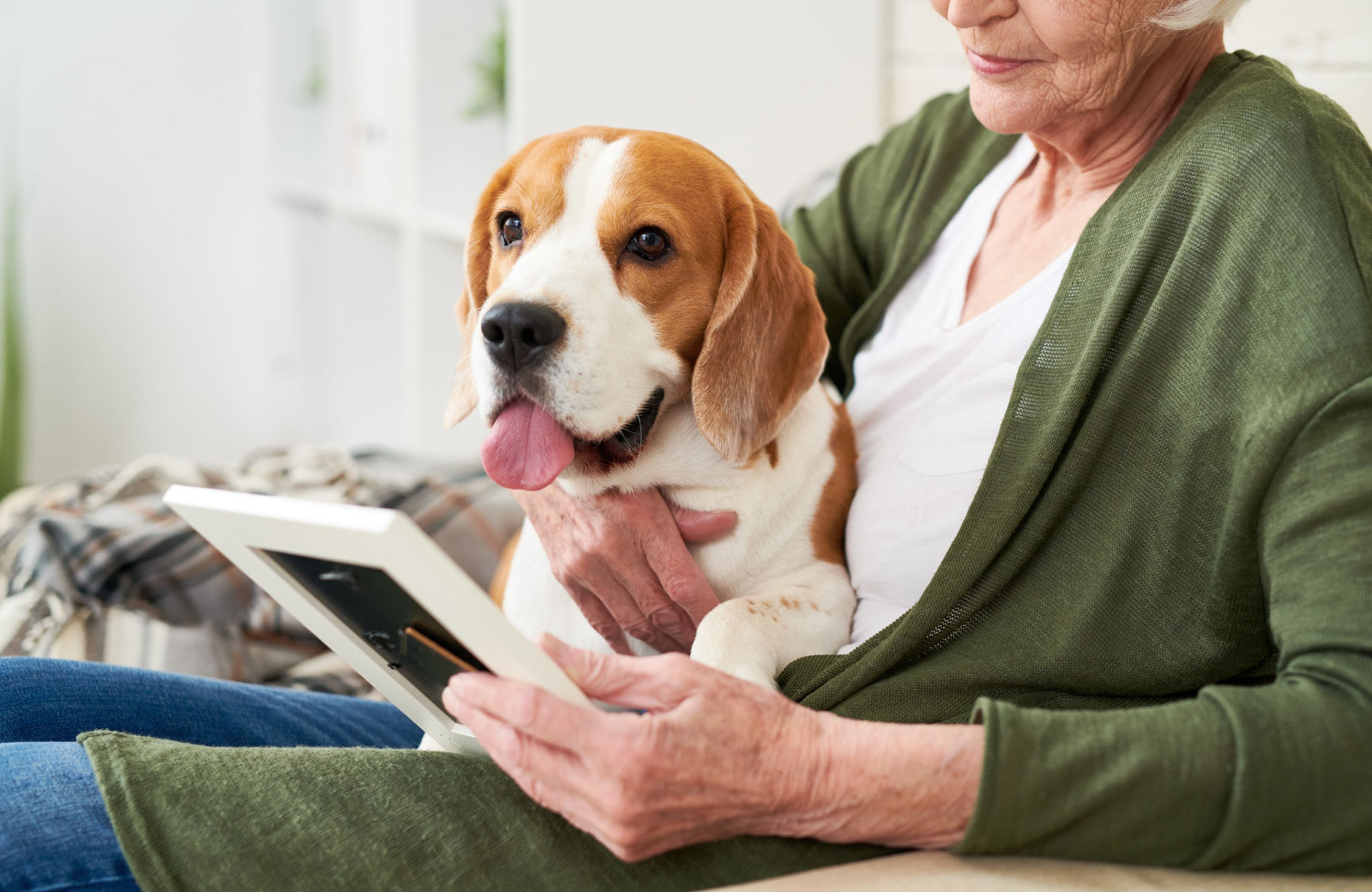 mature person with dog on lap