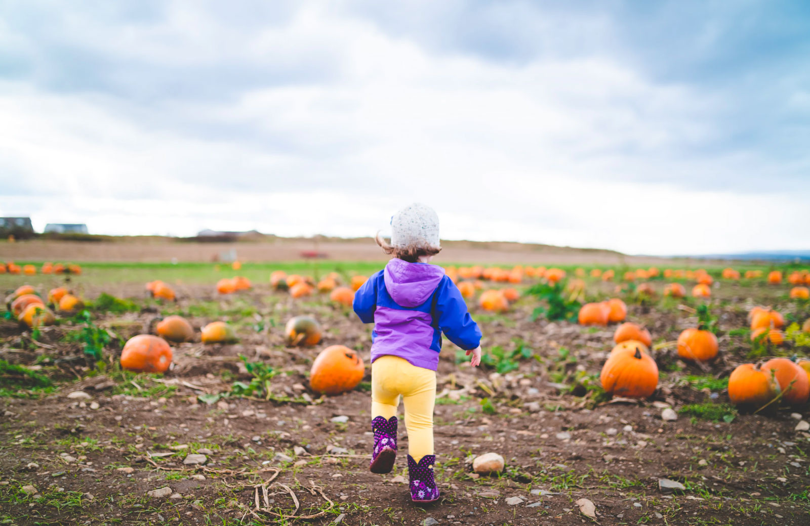 child running in a field of pumpkins