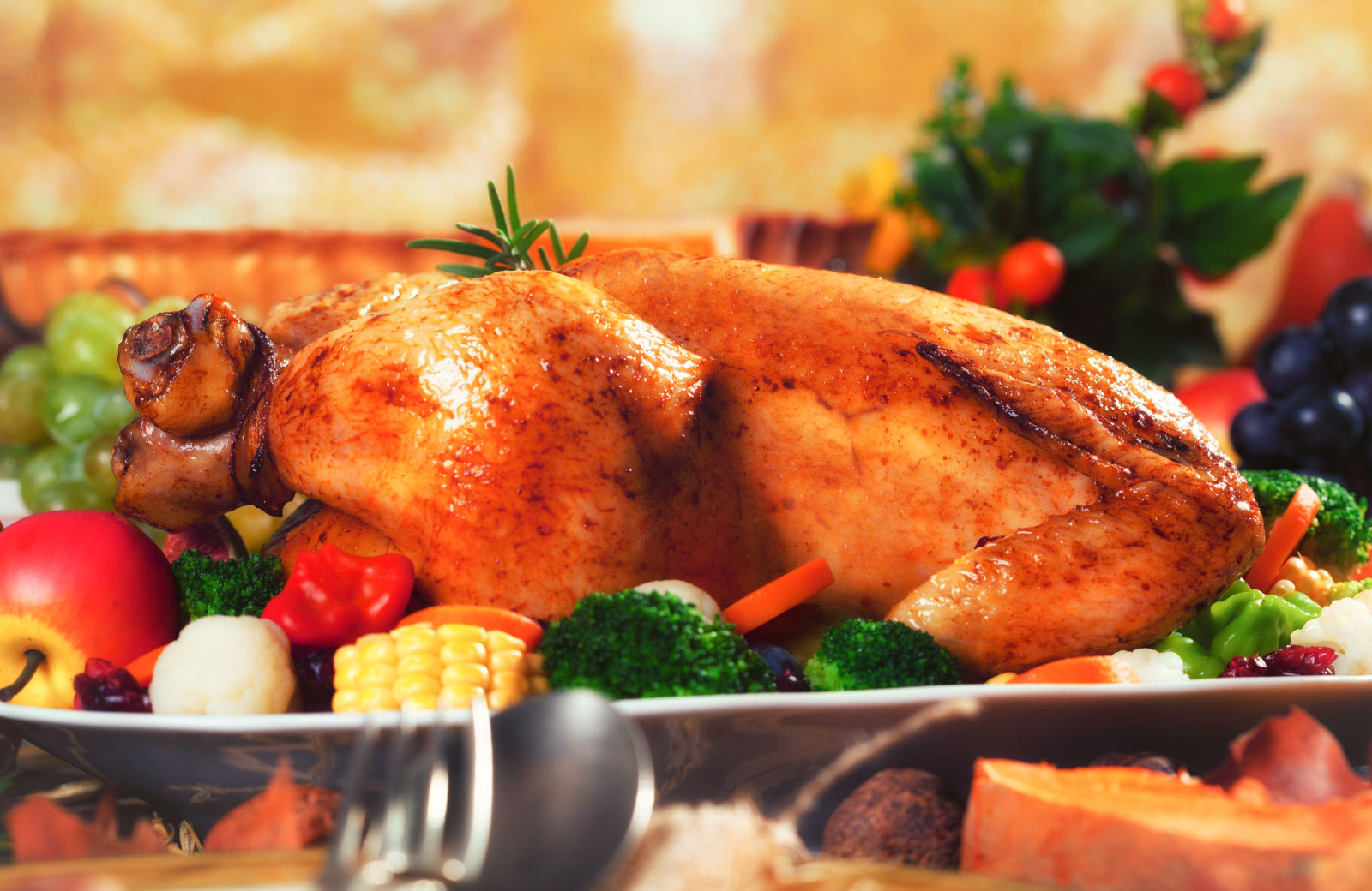 thanksgiving turkey