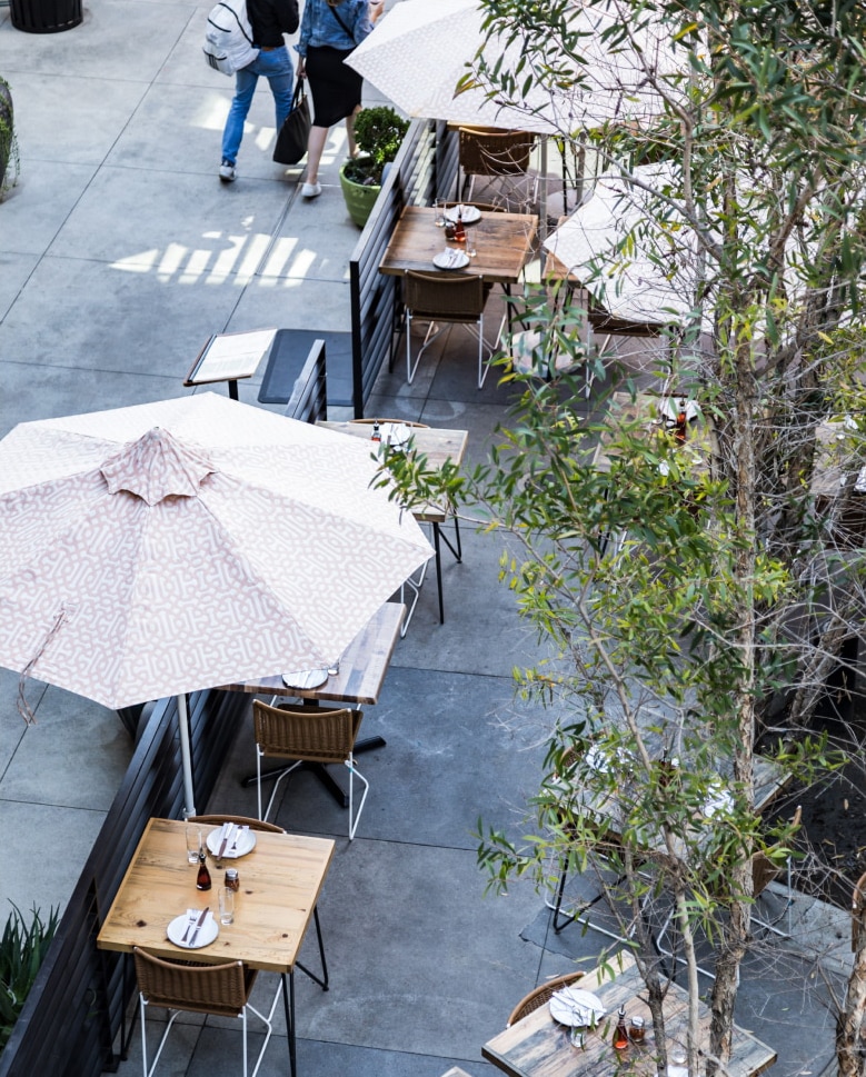 Alfresco terrace dining surrounds park.