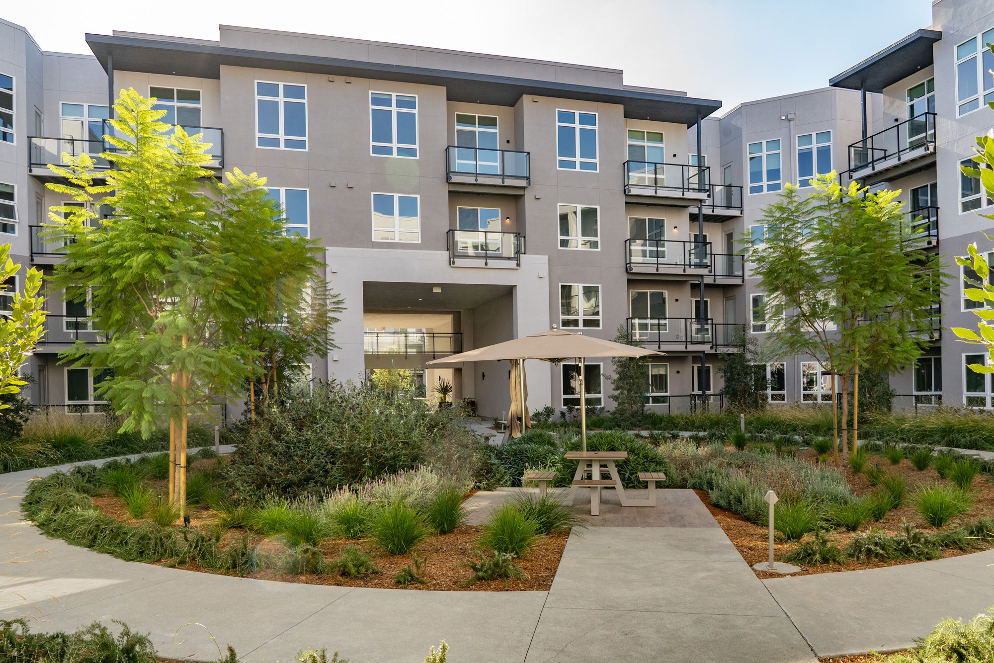 PetFriendly Apartments in Fremont, CA The Asher