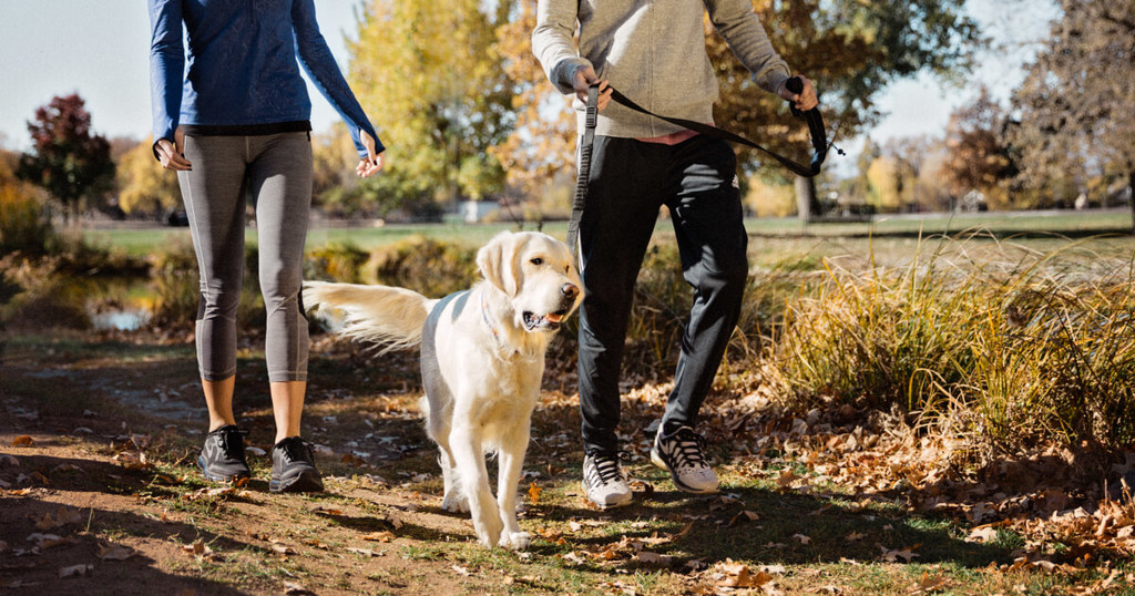 PetFriendly Homes for Rent in Antelope, CA The Arbors