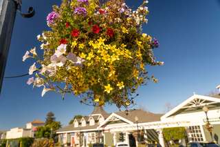 Hanging basket of colorful flowers against a clear blue sky, with a small-town shopping center and peaked rooflines in the background.