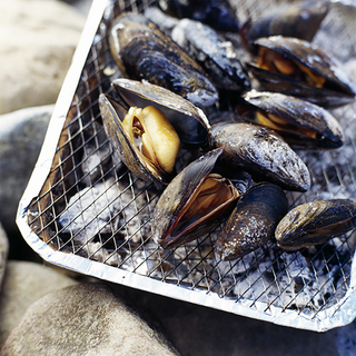 The Waypointe Lifestyle - downtown Norwalk apts -seafood
