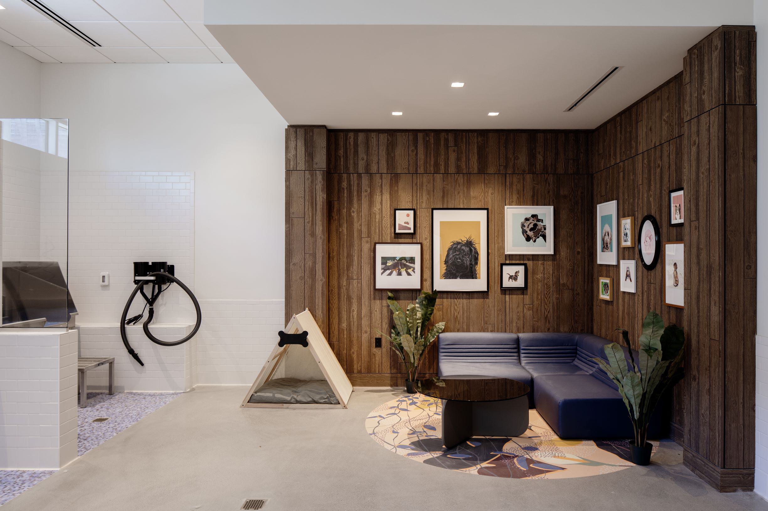 VOX Residences — Pet wash and grooming space.