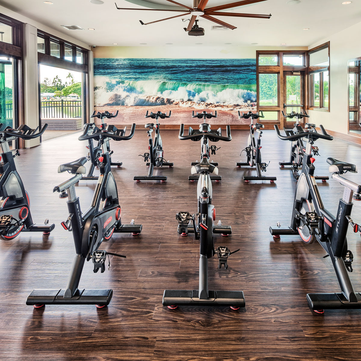 Kapilina Beach Homes - Fitness Center interior image - luxury amenities
