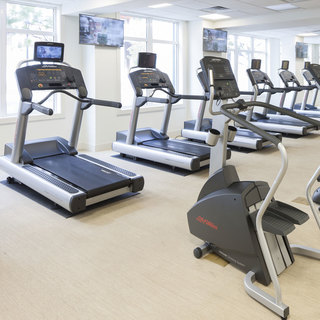 Rows of treadmills facing windows in the fitness room
