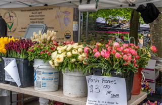 columbia city farmers market
