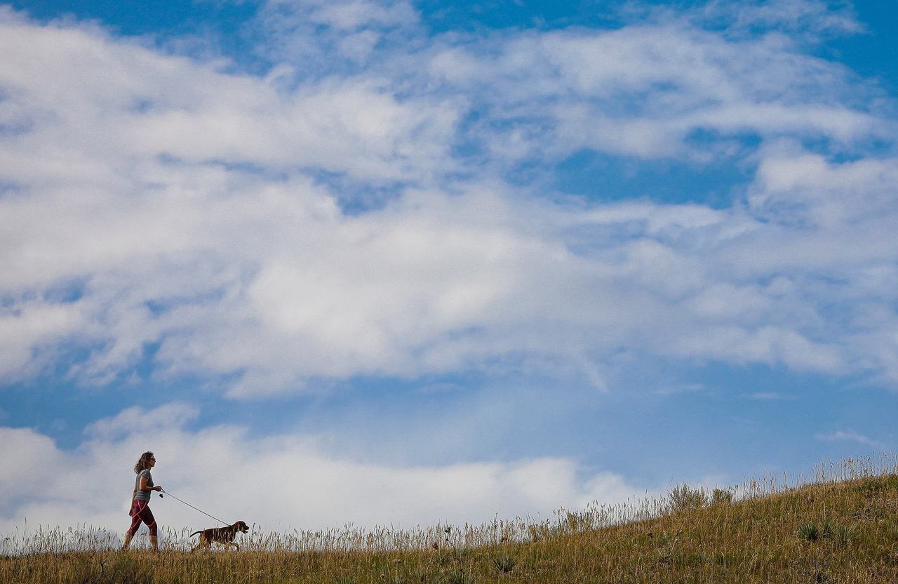 Dogs & Cats PetFriendly Lakewood Apartments at Braxton