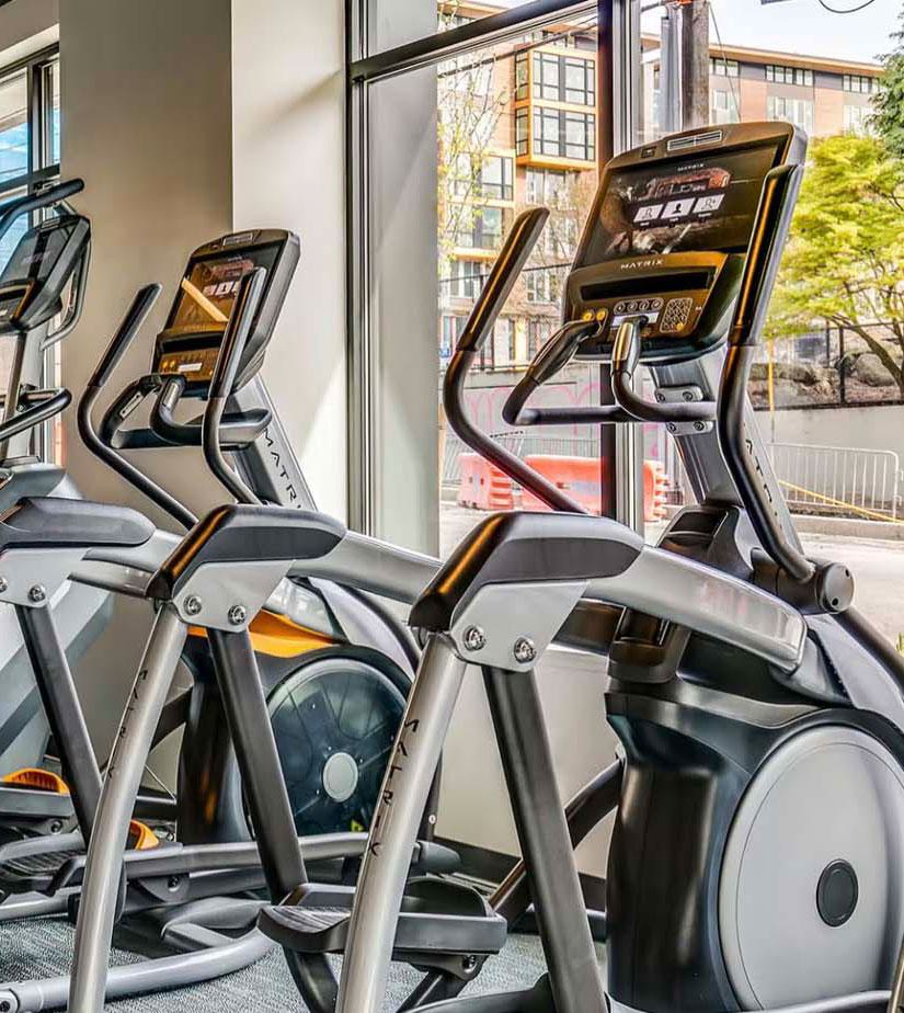 Bright, modern fitness center with floor-to-ceiling windows and a row of high-performance treadmills and elliptical machines facing the street outside.
