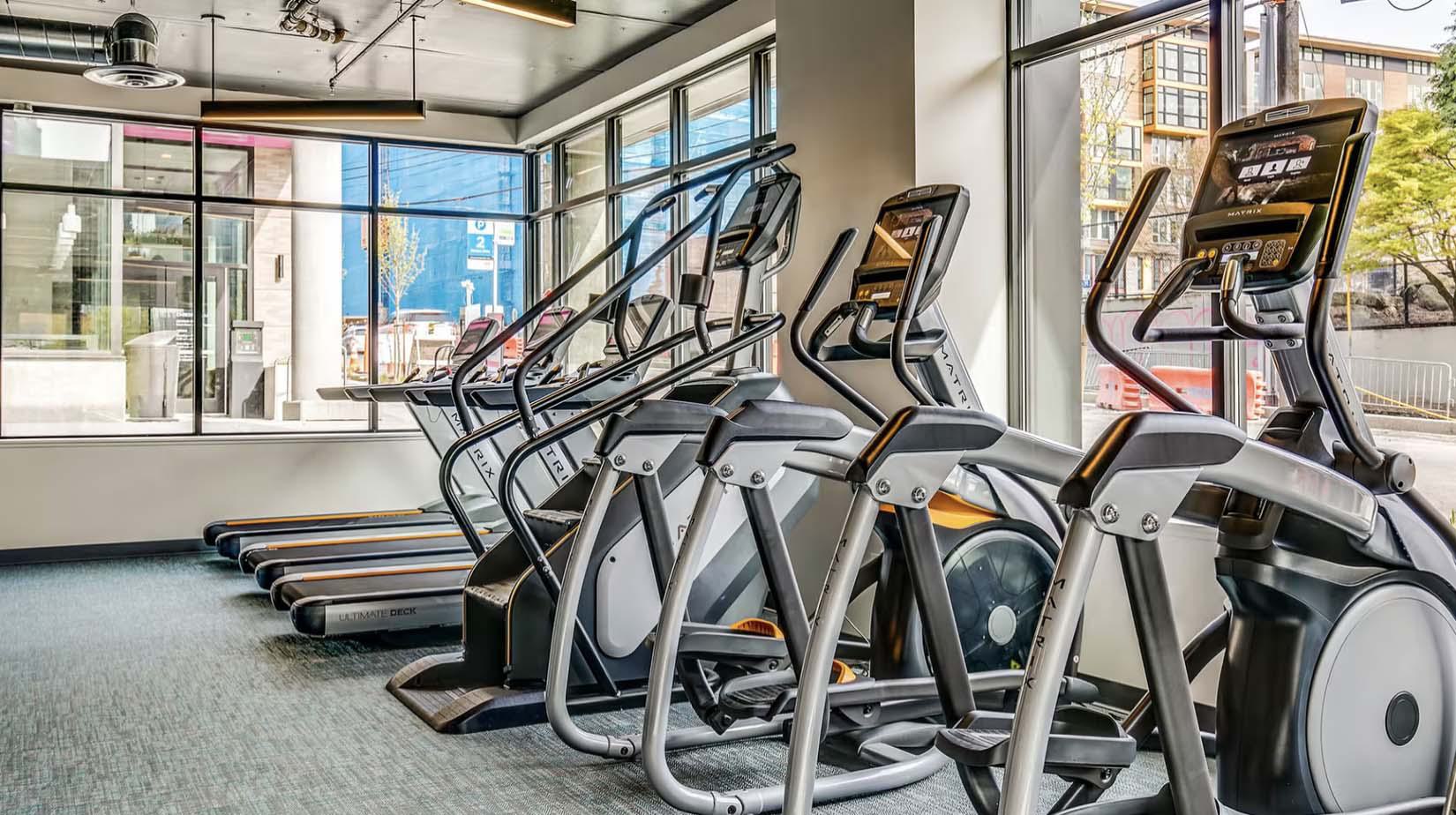 Bright, modern fitness center with floor-to-ceiling windows and a row of high-performance treadmills and elliptical machines facing the street outside.