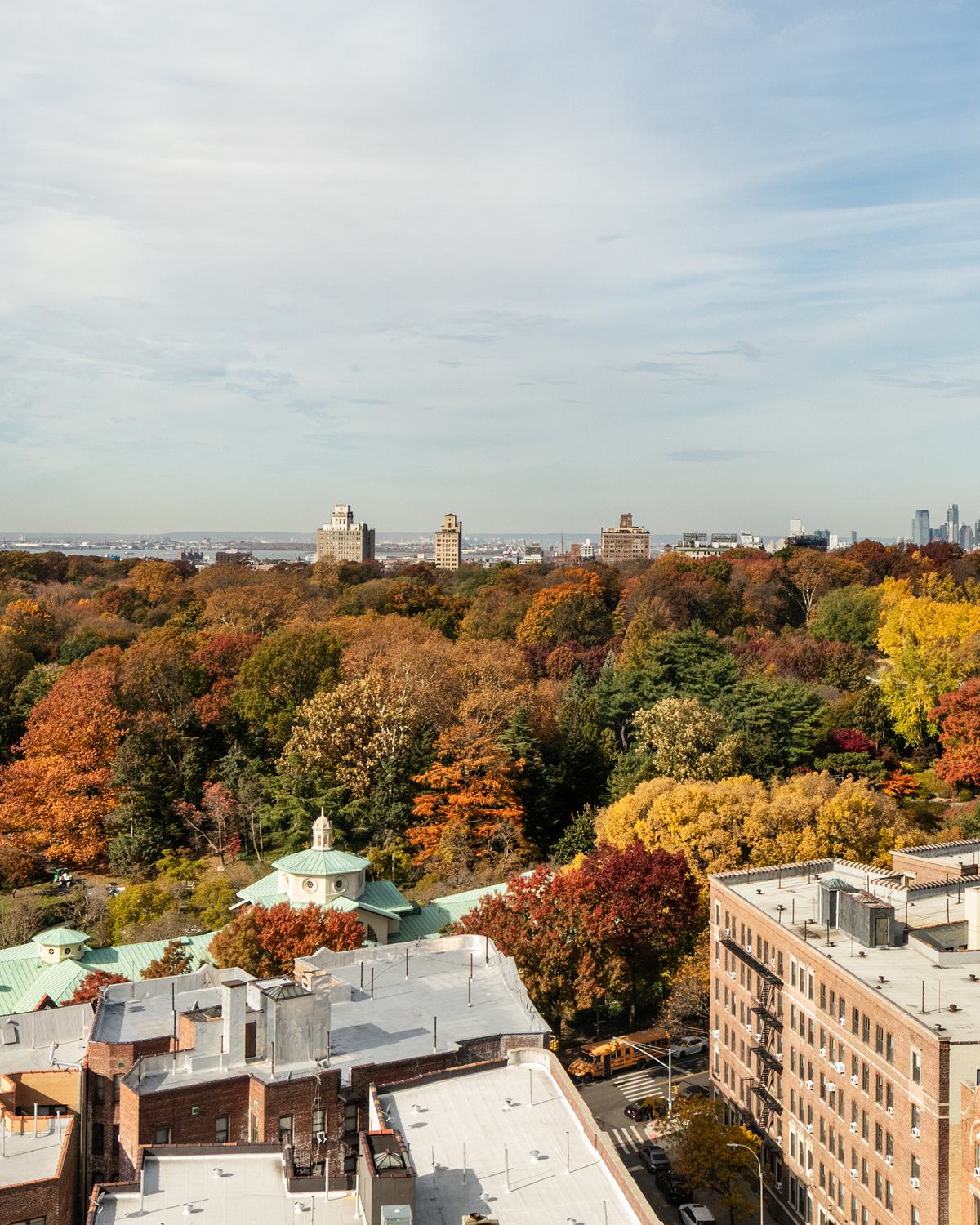 exterior of the Loden apartment building - floor-to-ceiling windows, wall-to-wall windows overlooking a green canopy of leaves near prospect park in Brooklyn