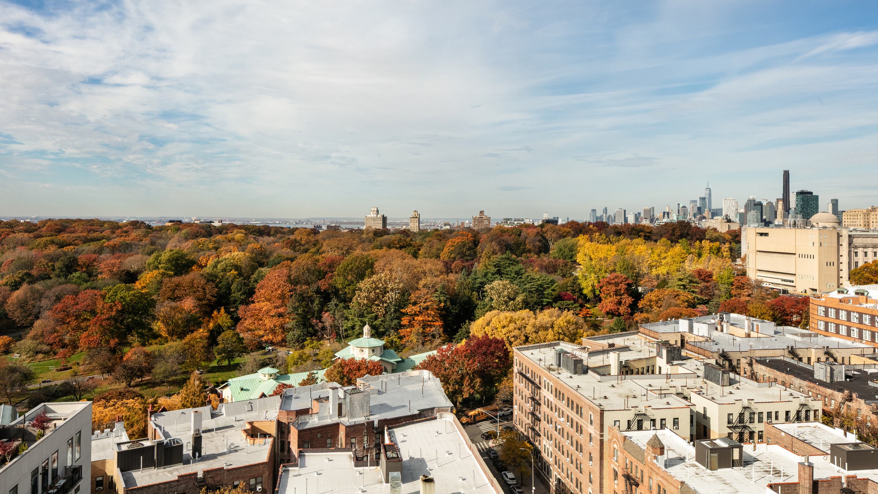 exterior of the Loden apartment building - floor-to-ceiling windows, wall-to-wall windows overlooking a green canopy of leaves near prospect park in Brooklyn