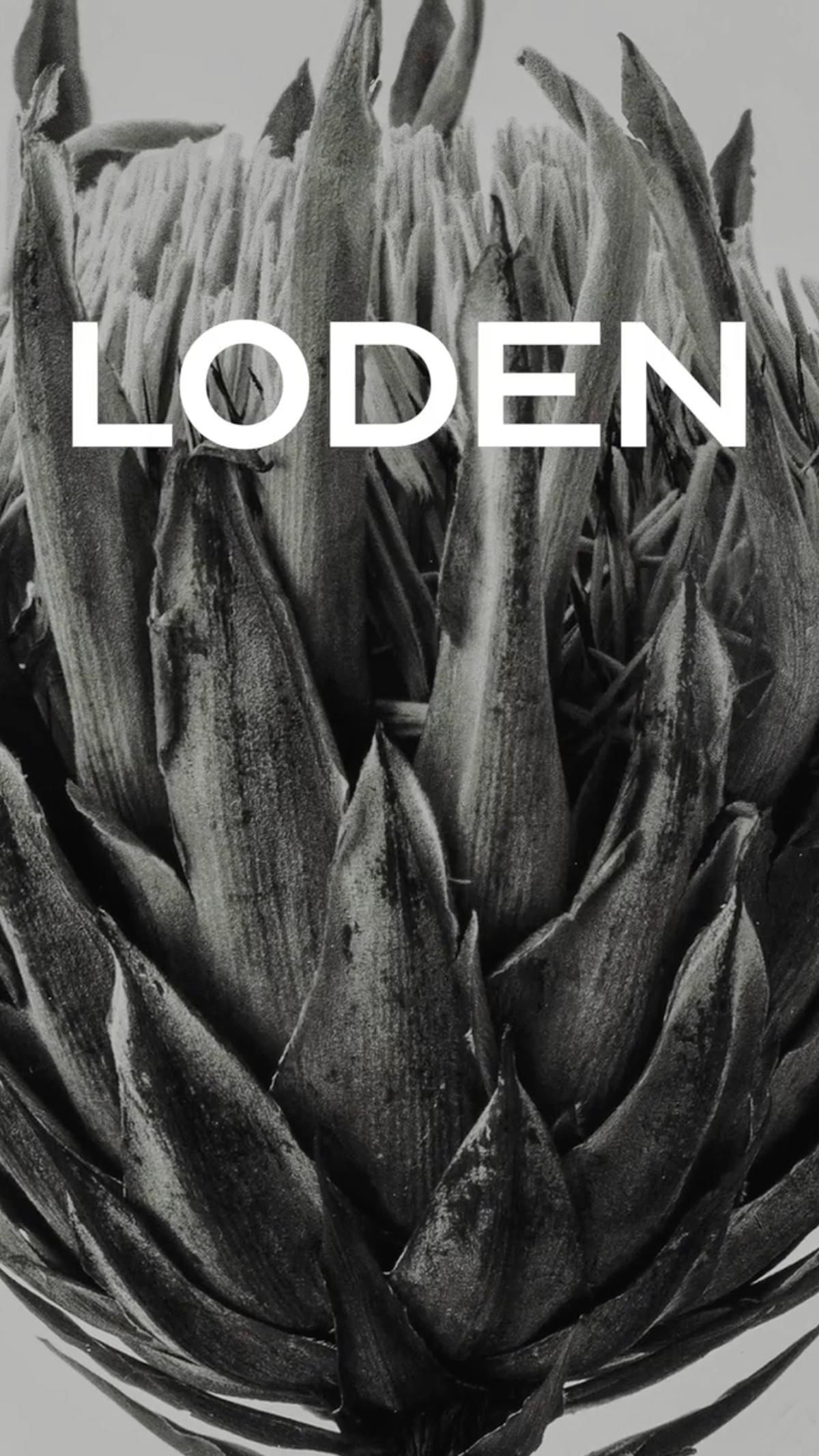 LODEN logo with a black-and-white floral background