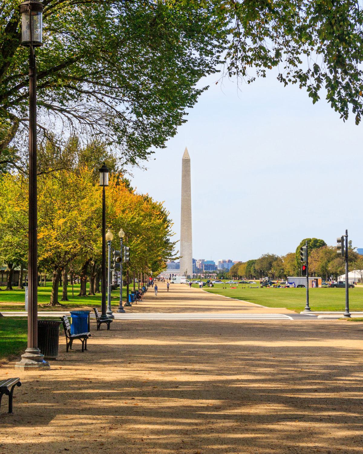 Tree-lined path on the National Mall in Washington, DC, leading toward the Washington Monument under a clear sky