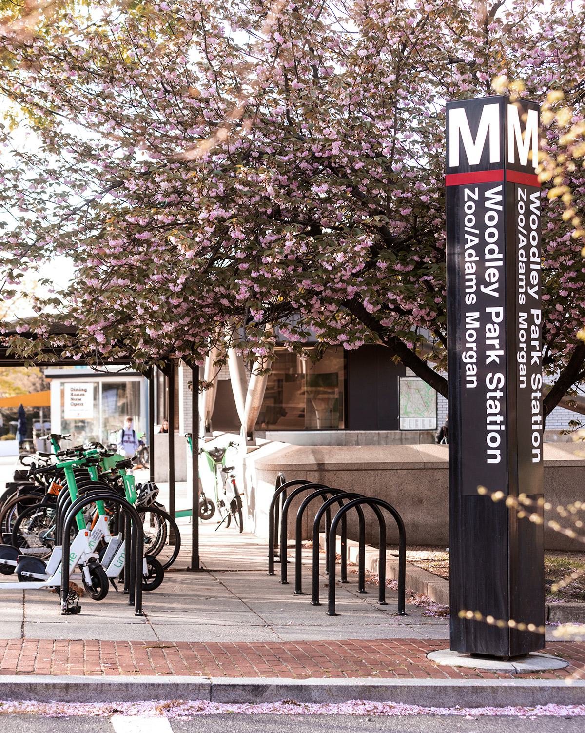 Woodley Park Metro Station in Washington, DC, with bike and scooter racks under blooming cherry blossom trees, capturing a springtime neighborhood scene.