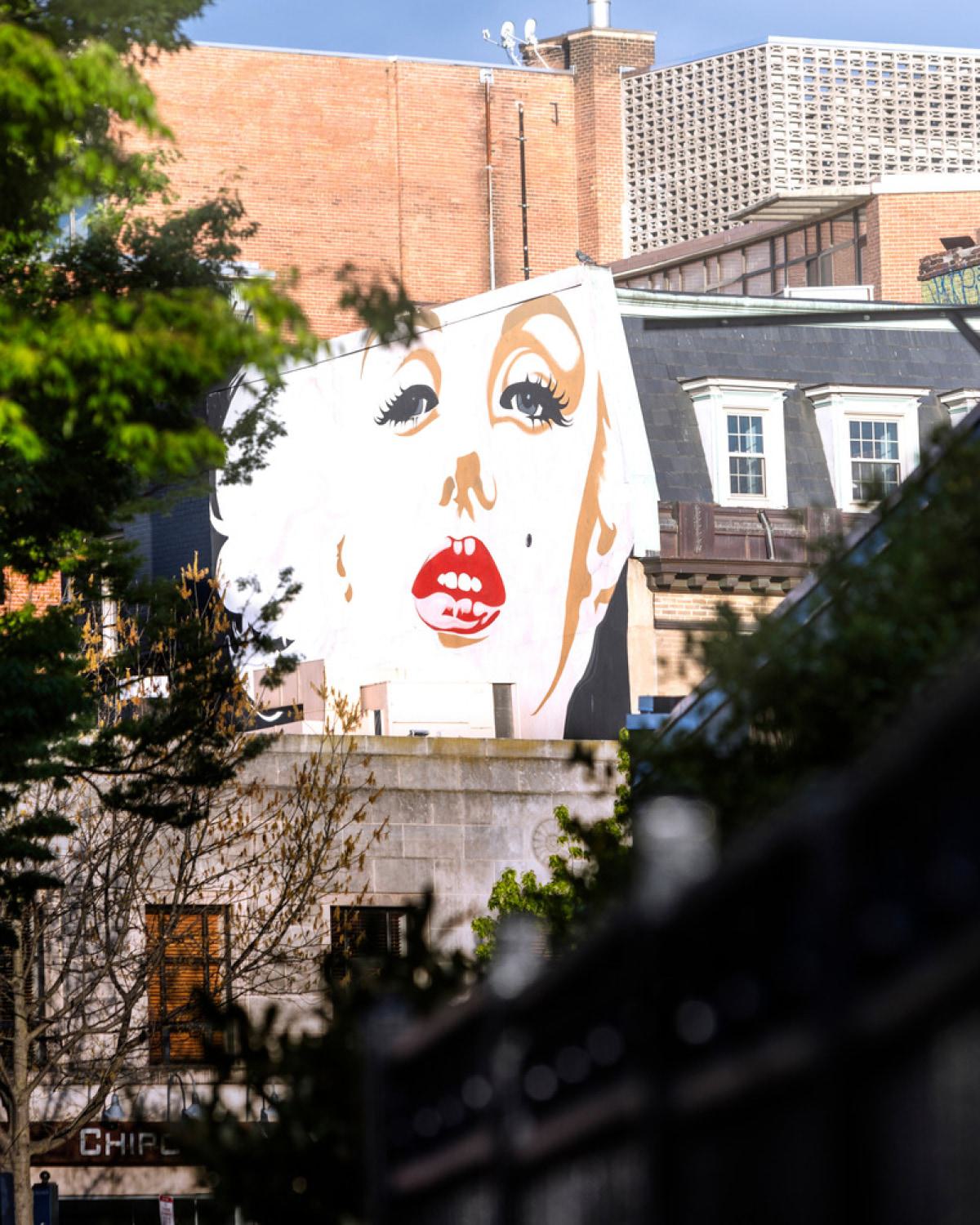 Local mural, surrounded by trees in the Woodley Park neighborhood.