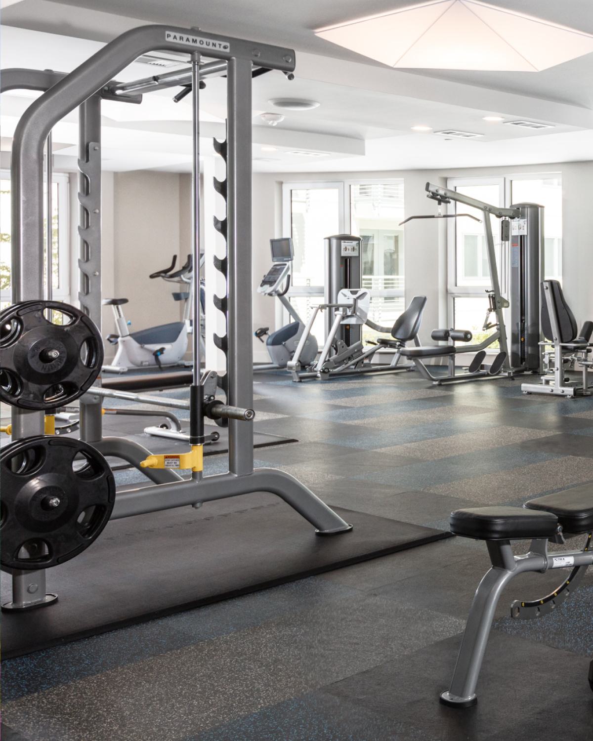 Bright fitness center at The Triton Apartments featuring treadmills, weight machines, free weights, and floor-to-ceiling windows bringing in natural light.