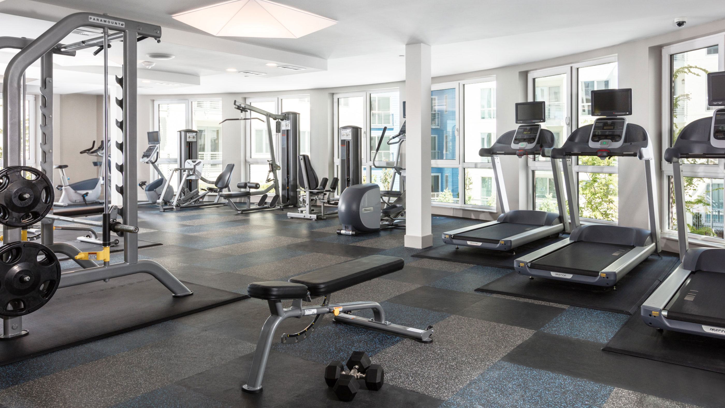 Bright fitness center at The Triton Apartments featuring treadmills, weight machines, free weights, and floor-to-ceiling windows bringing in natural light.