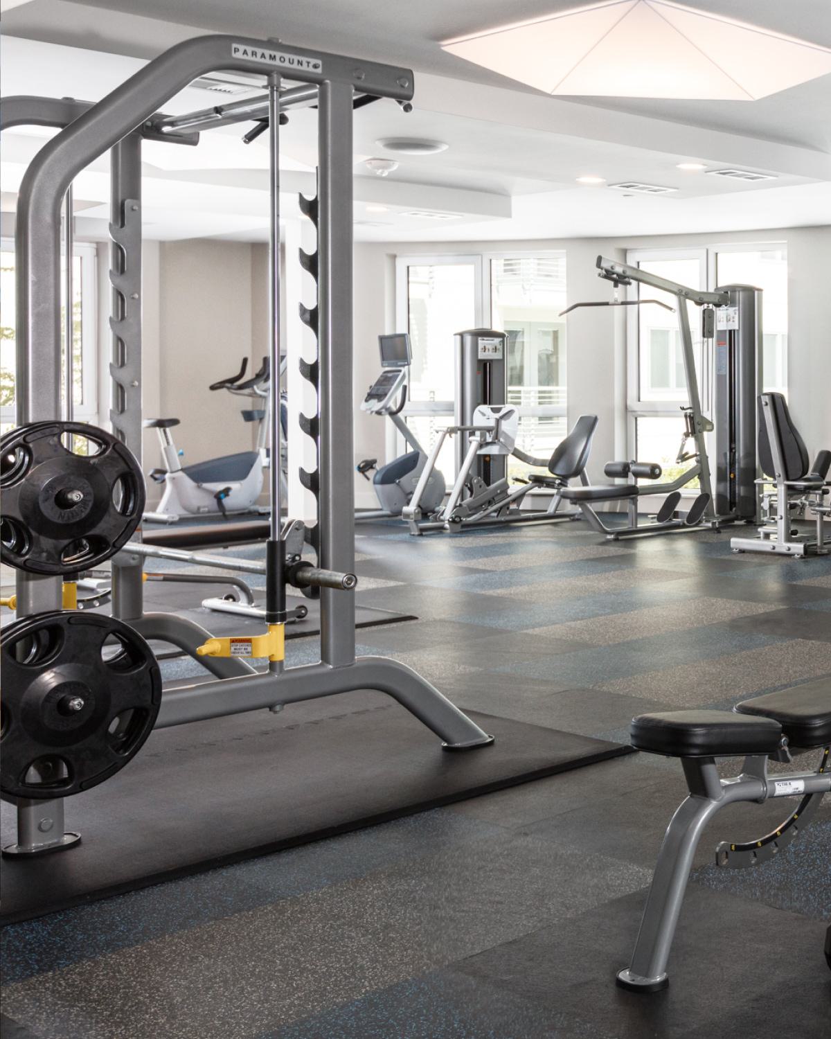 Bright fitness center at The Triton Apartments featuring treadmills, weight machines, free weights, and large windows bringing in natural light.