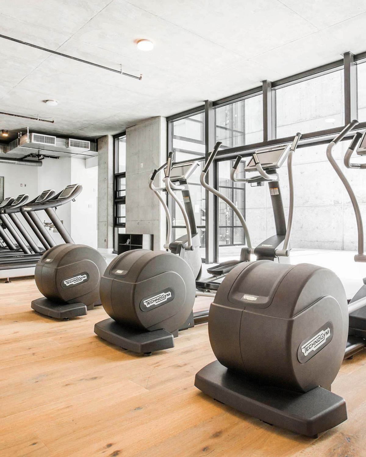 Modern fitness center with wood flooring, large windows, and concrete accents, equipped with treadmills, ellipticals, and strength training equipment.