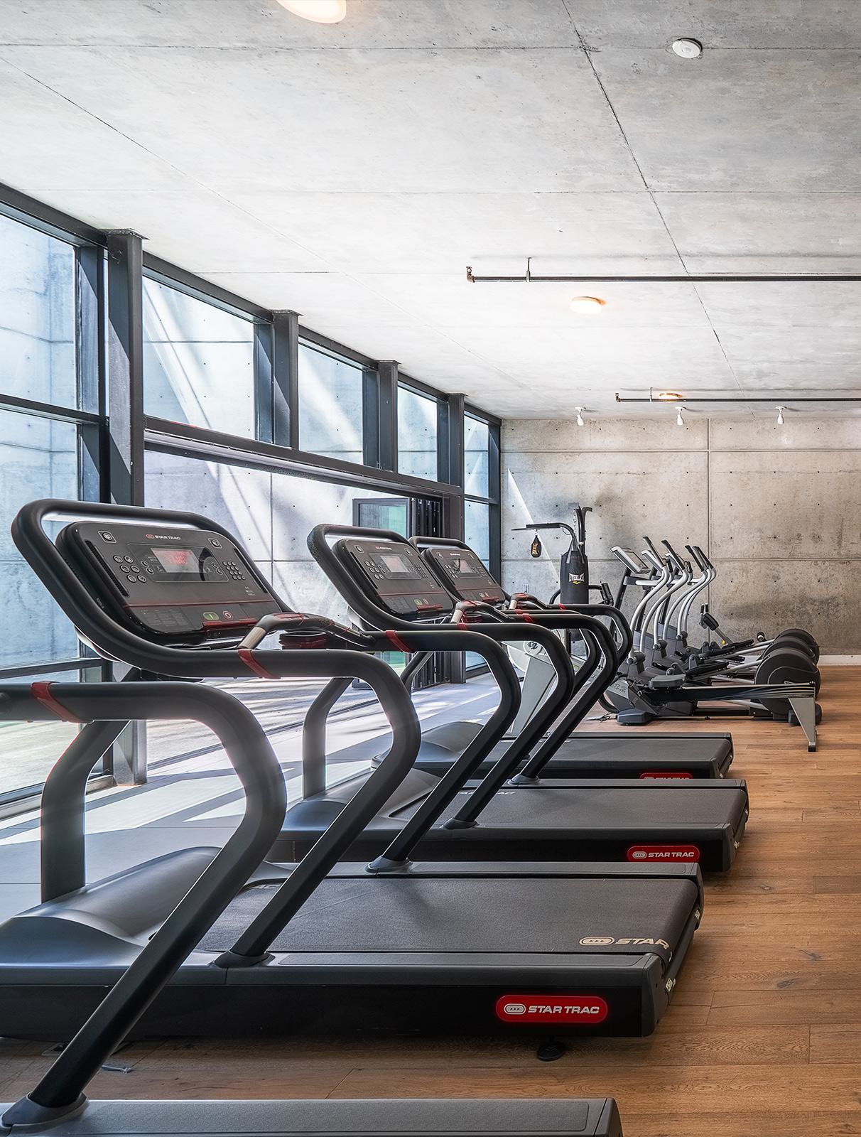 This rooftop lounge features a striking live-edge wood table, surrounded by modern seating with colorful accent pillows and geometric blue stools. Framed by sleek railing and soft landscaping, the space blends urban style with natural textures under open skies.