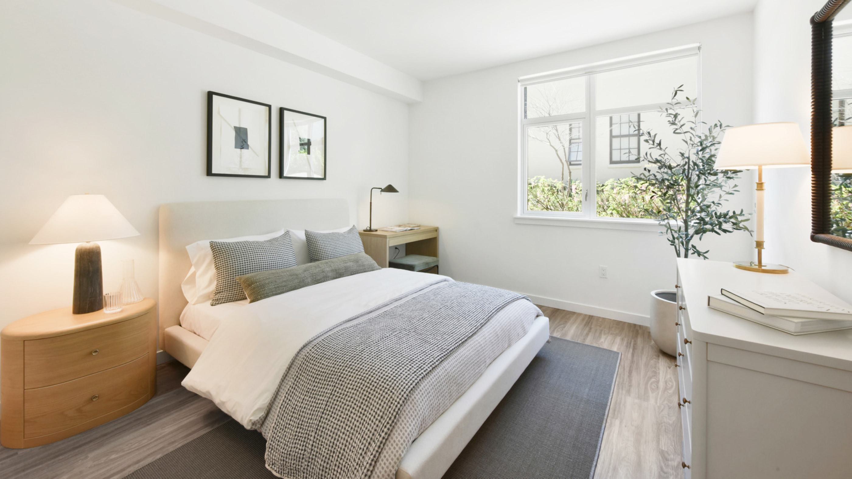 Cozy modern bedroom room with soft natural lighting.