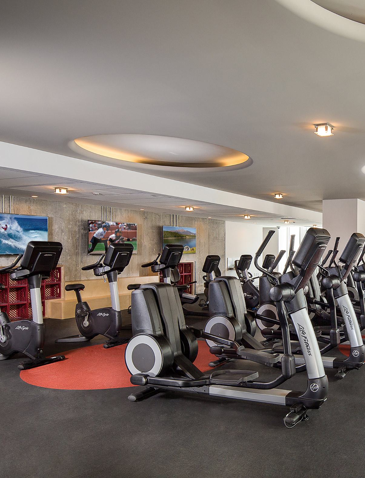 Modern fitness center with rows of Life Fitness treadmills, elliptical machines, and stationary bikes, positioned under circular recessed lighting. Floor-to-ceiling windows line one side of the room, and multiple flat-screen TVs display sports and scenic imagery along a concrete accent wall.