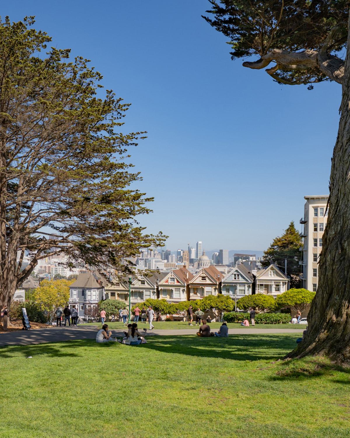 Alamo Square park with open green lawns, surrounding Victorian buildings, and clear blue sky.