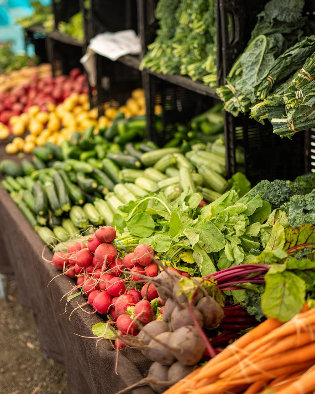 A vibrant display of fresh produce at a farmers market, featuring bunches of radishes, beets, carrots, and leafy greens arranged in neat rows.