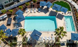 Aerial view of the pool area at Admiral’s Cove in Alameda, CA, featuring a large swimming pool, spa, lounge chairs, blue umbrellas, BBQ grill station, and landscaped surroundings.