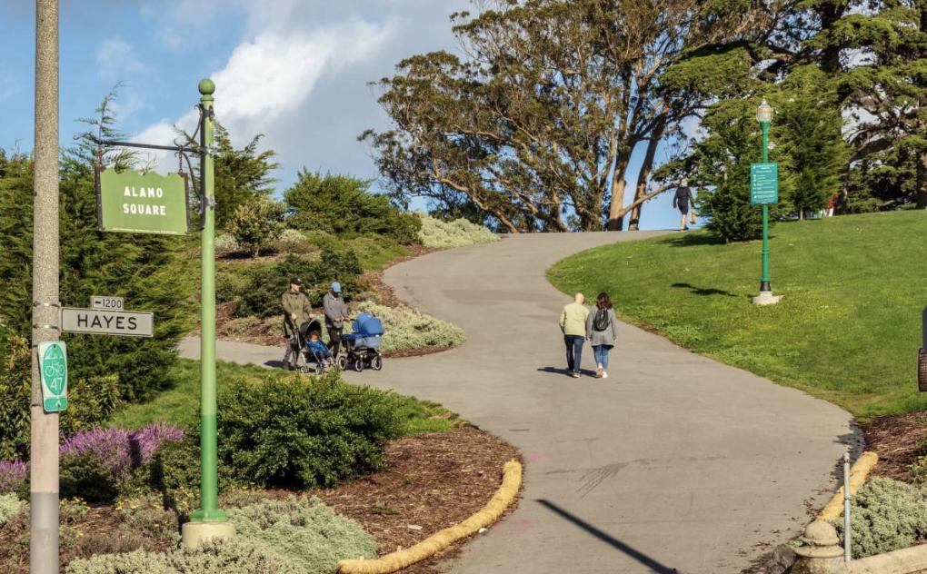 Entrance to Alamo Square Park at Hayes Street, with people walking along a curved path surrounded by greenery, tall trees, and park signage.