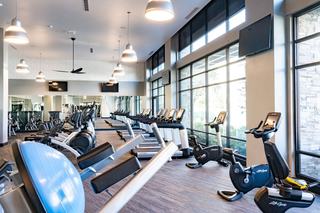 Modern fitness center with rows of treadmills, elliptical machines, and stationary bikes positioned along floor-to-ceiling windows, allowing abundant natural light into the sleek, high-ceilinged space.