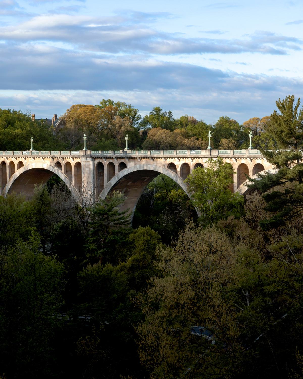 The iconic arched structure of the Taft Bridge in Woodley Park, DC, framed by lush treetops and a soft, cloud-dappled sky, highlighting the neighborhood’s blend of history and natural beauty.