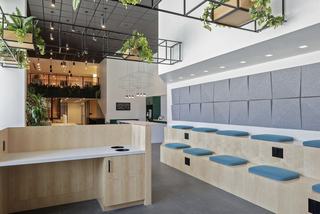 Modern coworking space with light wood tiered bench seating topped with teal cushions, gray geometric acoustic panels on the wall, suspended black metal framework with potted greenery overhead, and an adjacent white countertop workspace.