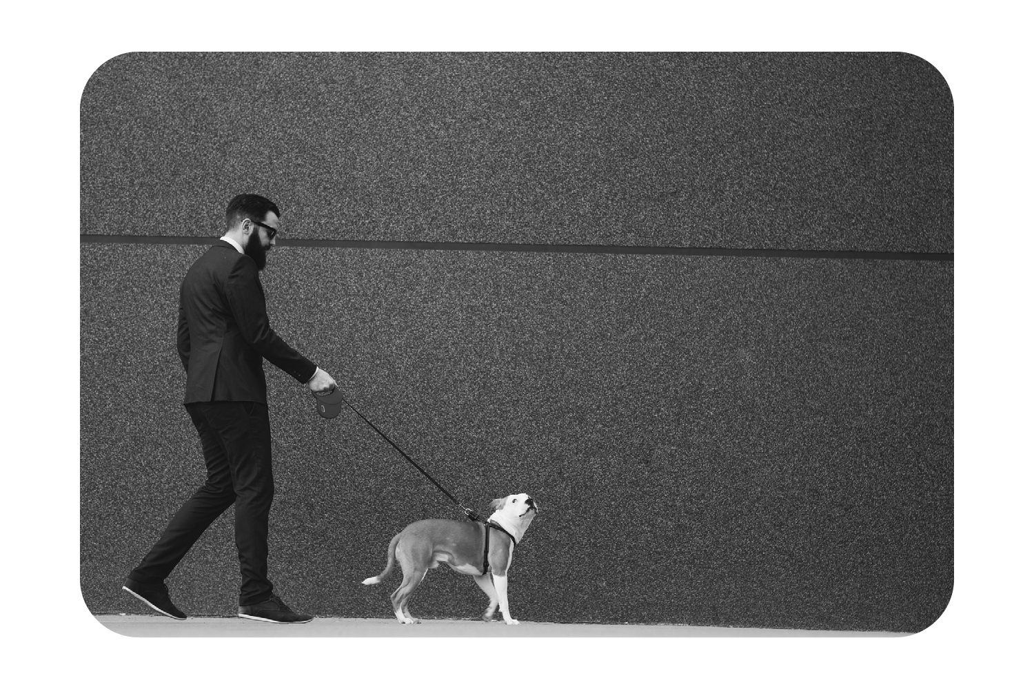 Black-and-white photo of a man in a suit walking his dog along a modern city wall.