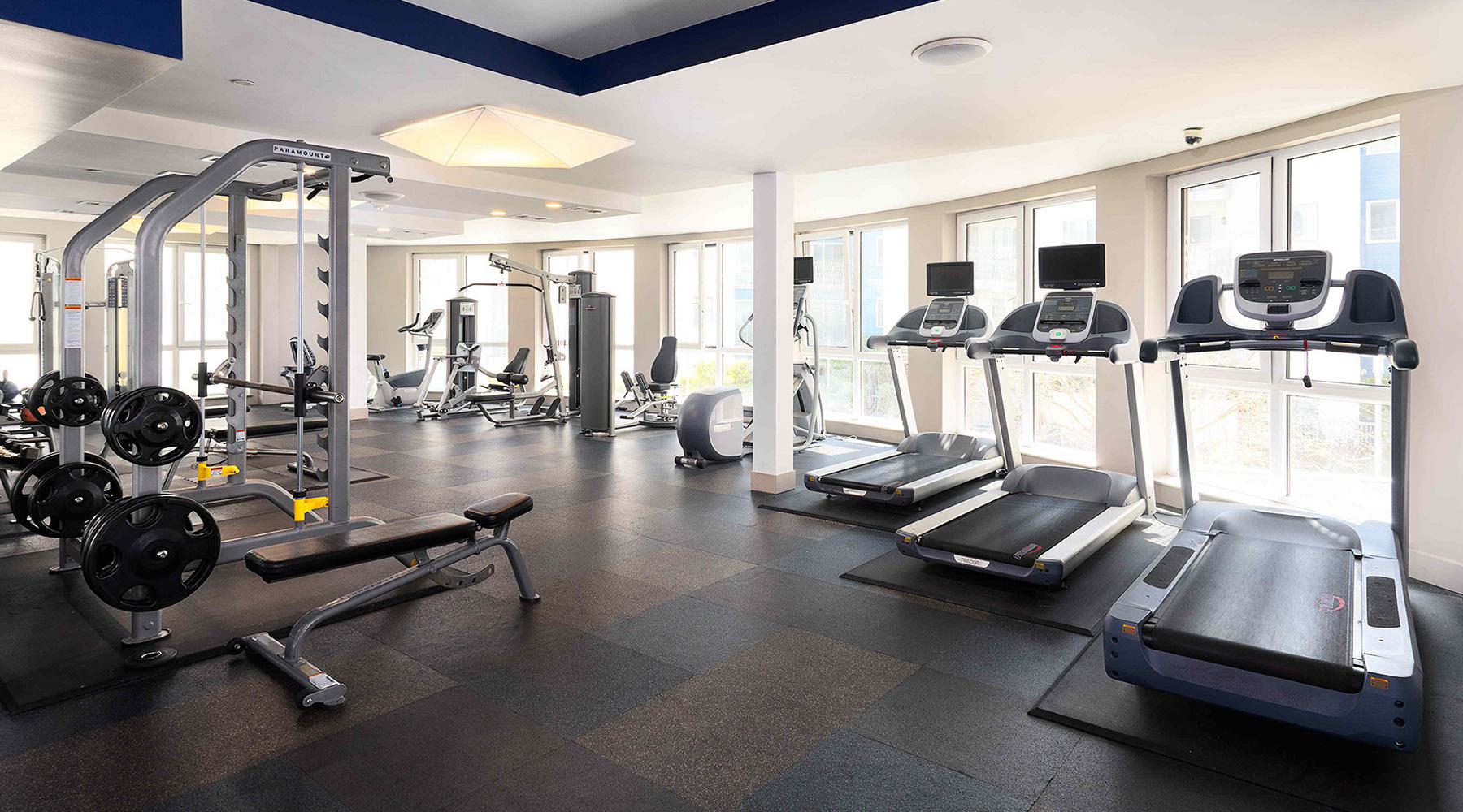 Bright fitness center at The Triton with treadmills, ellipticals, a Smith machine, weight bench, and large windows bringing in natural light.