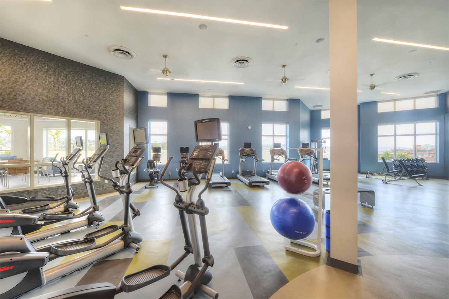 Spacious gym with cardio machines, free weights, and large windows providing natural light and city views.