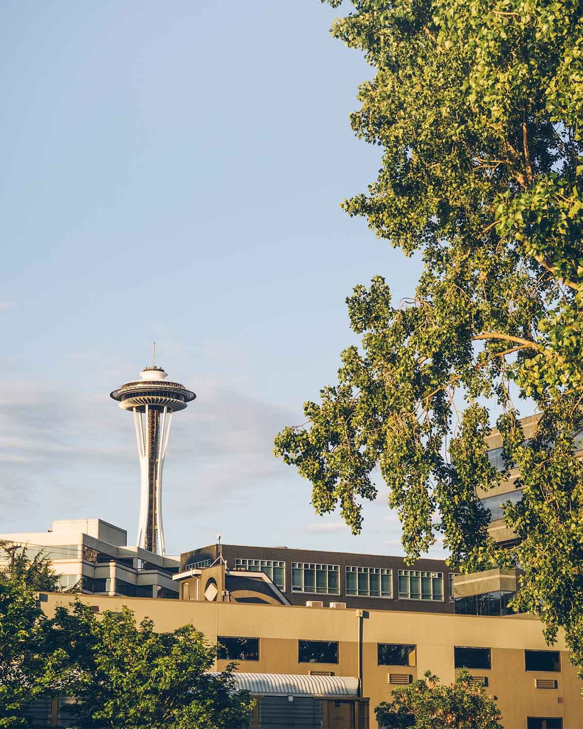 View of Seattle’s Space Needle rising behind trees and low-rise buildings on a clear day.