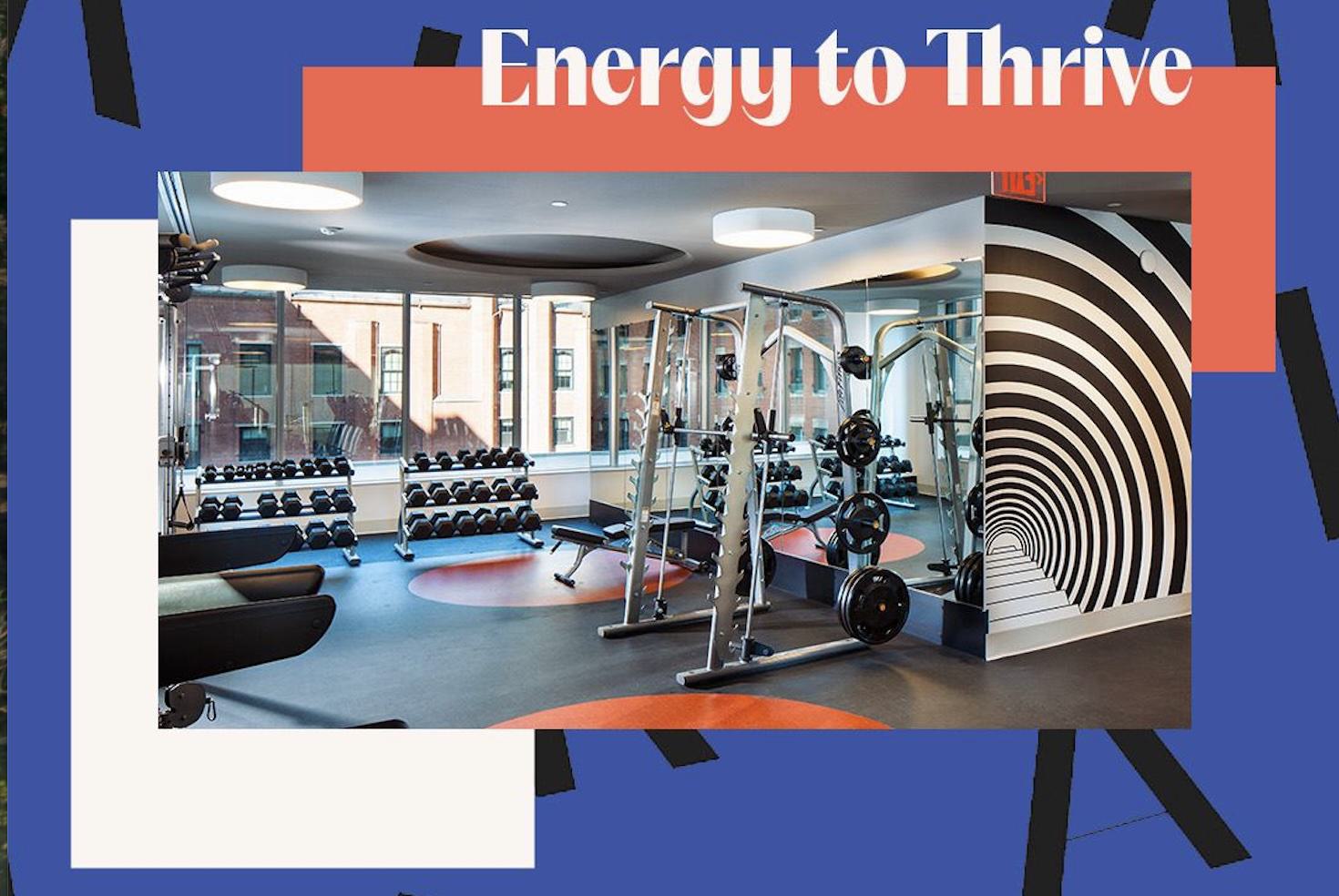 energy to thrive