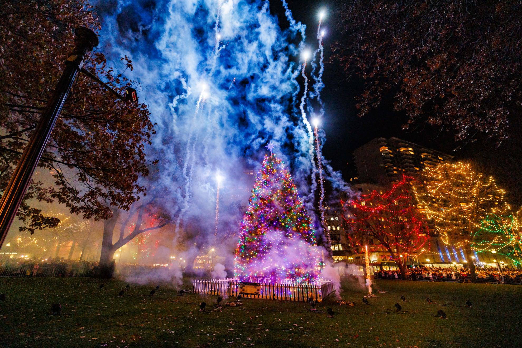 A dazzling Christmas tree in Boston Common glows with multicolored lights as fireworks burst into the night sky, surrounded by smoke, illuminated trees, and cheering crowds.