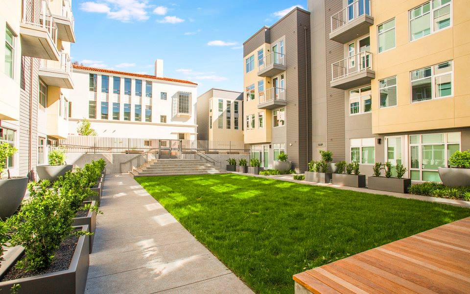 Landscaped courtyard at Alchemy with large planters, trimmed greenery, and open turf areas framed by modern apartment buildings with balconies