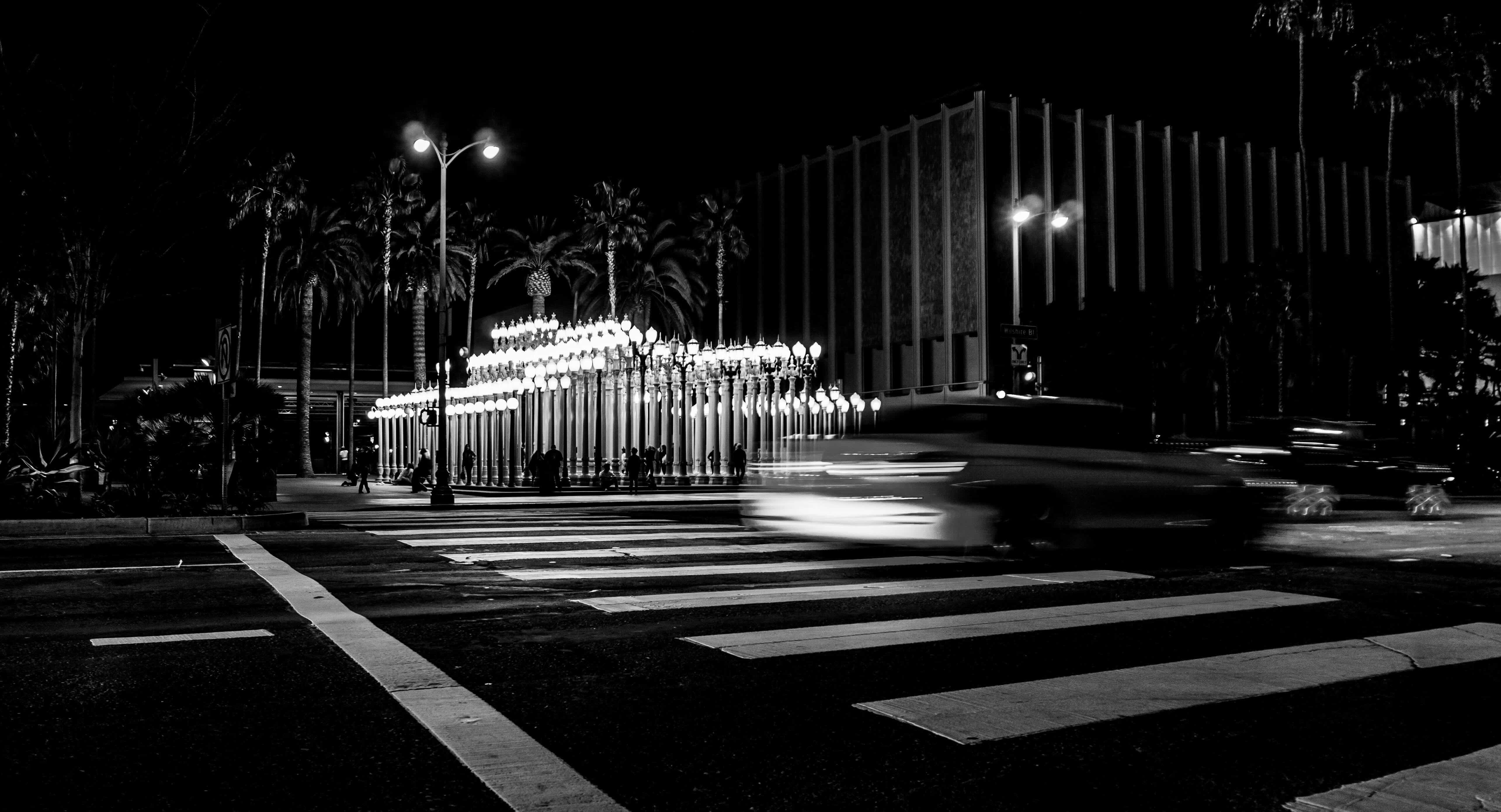 Black-and-white night photo of Wilshire Boulevard in Los Angeles, featuring the illuminated “Urban Light” installation outside the Los Angeles County Museum of Art (LACMA). Palm trees and blurred car lights frame the crosswalk scene.