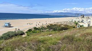 playa del rey beach in los angeles, california