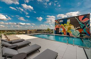 The Hale’s rooftop pool in NoMa featuring modern gray loungers, glass railings, and a vibrant botanical mural on the building wall, with expansive city views and open sky creating a serene, elevated setting.