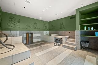 Modern pet spa at Atlas Oakland featuring tiled wash stations, built-in dryers, and green walls with playful dog illustrations.