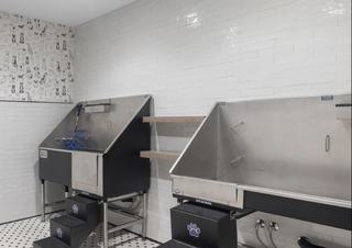 Modern pet spa with two stainless-steel dog wash stations, paw-print steps, white tile walls, and playful dog-patterned wallpaper at The Victor.